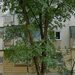Tineretului, Oraselul Copiilor, apartament 4 camere 92 mp, parter.